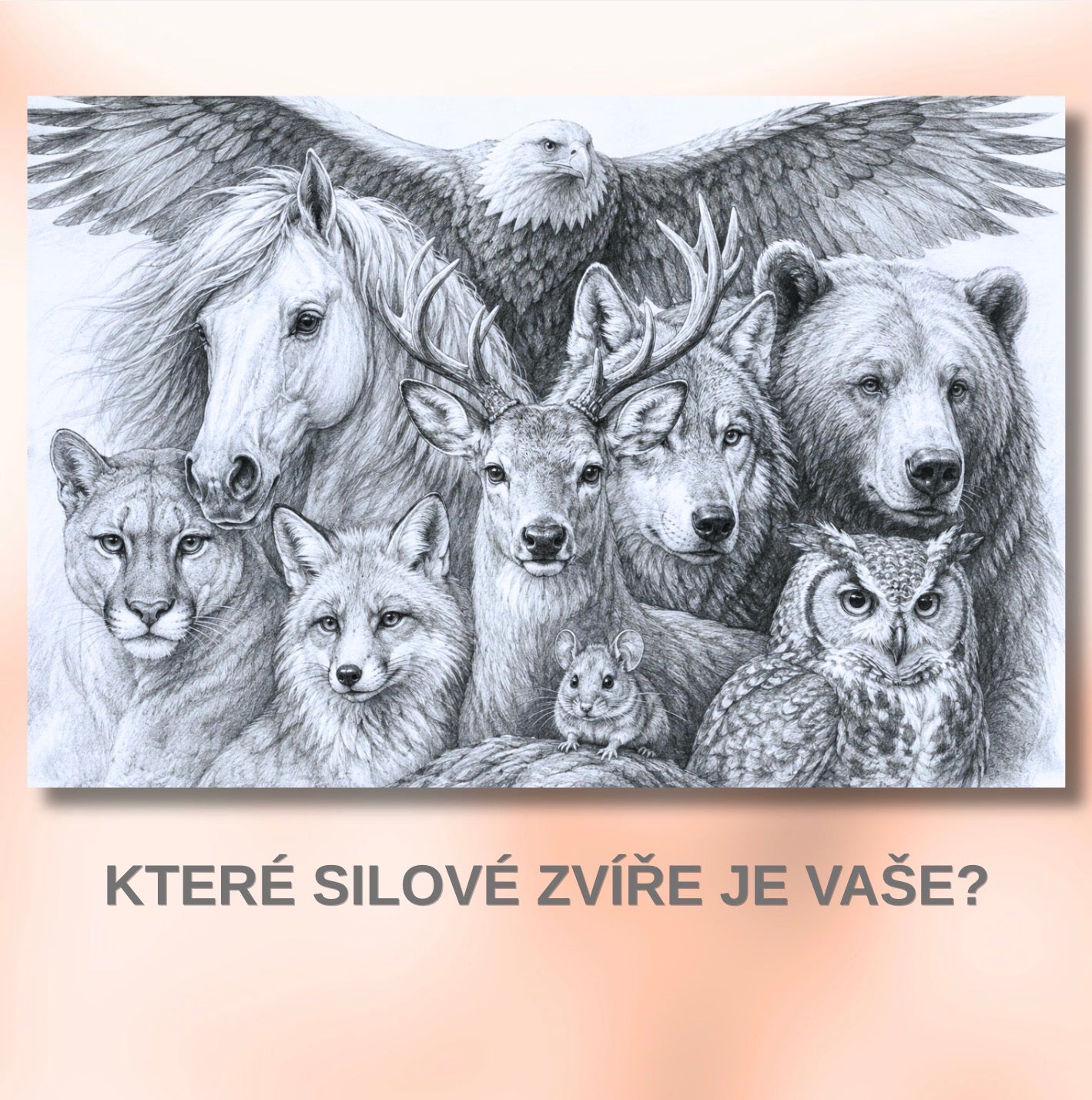 Kouzelná obálka na Září - 15x20cm